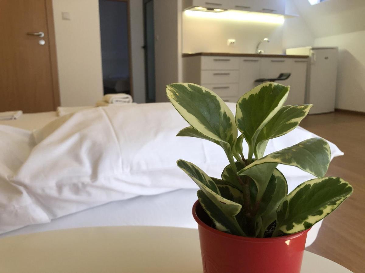Aparthotel Elly Ahyolu Dış mekan fotoğraf